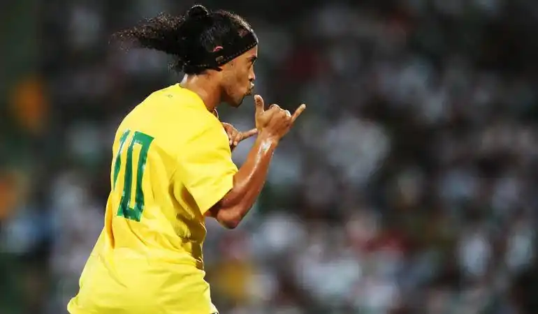 菜种植地究 菜种植地究